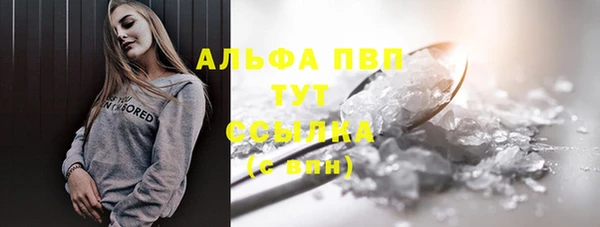 стафф Алексин