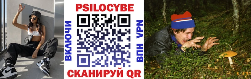 Псилоцибиновые грибы Cubensis  купить закладку  Байкальск 
