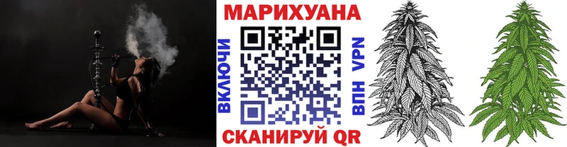 где найти   Байкальск  Конопля гибрид 